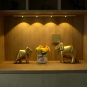 مصباح LED لإضاءة الأماكن المظلمة